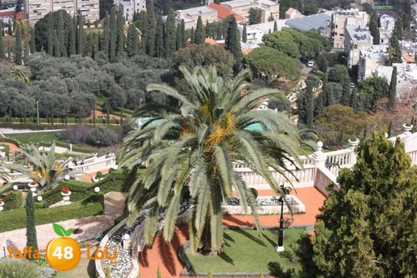 re7la7efa483 (109).JPG